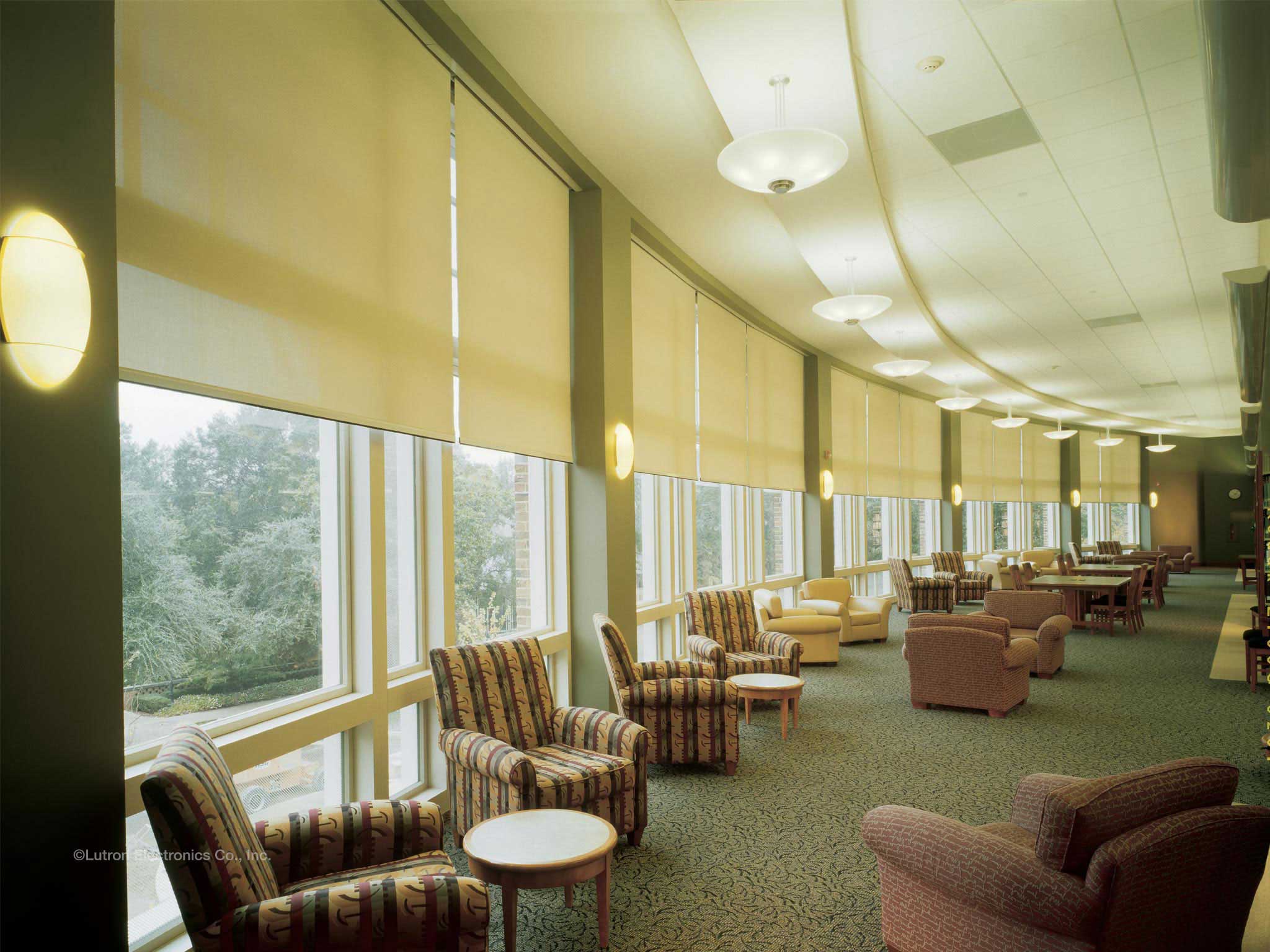 Furman-University-Library_Greenville-SC.jpg