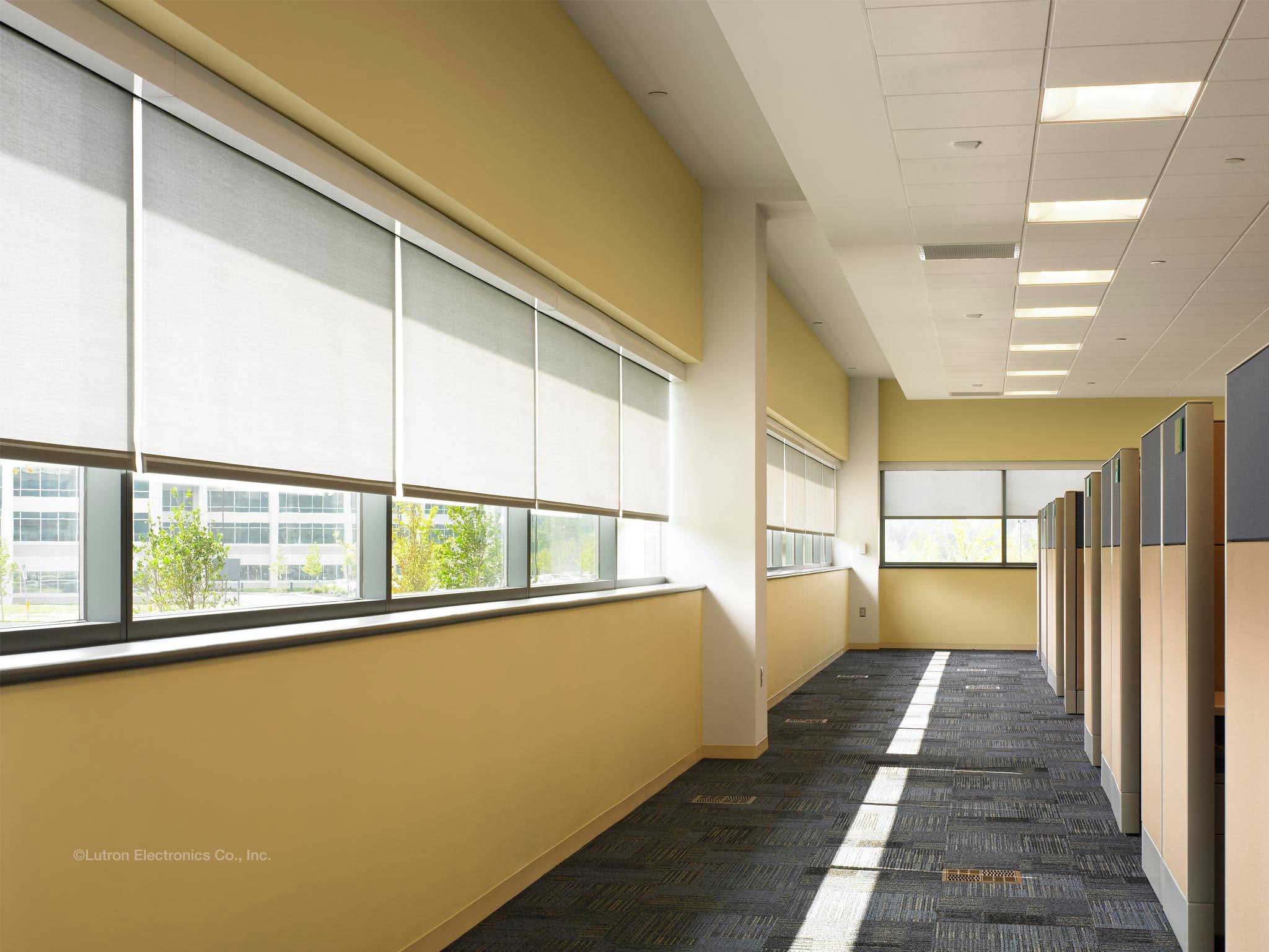 Olympus-Headquarters_Lehigh-Valley-PA.jpg